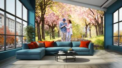 Beautiful senior couple in love outside in spring nature. Wall mural