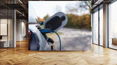 Charging an electric car in home,sustainable transportation concept. Wall mural