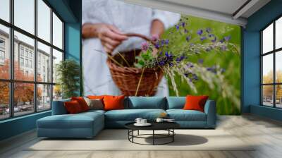 Close-up of senior woman wih basket in meadow in summer collecting herbs and flowers, natural medicine concept. Wall mural