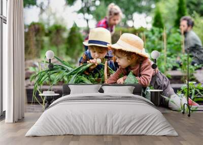 Family with small children gardening on farm, growing organic vegetables. Wall mural