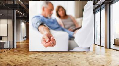 Female doctor checking blood pressure of senior man. Wall mural