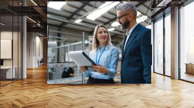 Female engineer and male production manager standing in modern industrial factory, talking about production. Manufacturing facility with robotics and automation. Wall mural