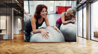 Group of cheerful female seniors in gym doing exercise on fit balls. Wall mural