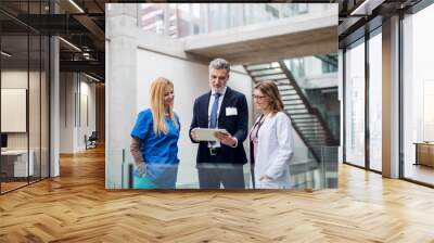 Group of doctors talking to pharmaceutical sales representative. Wall mural