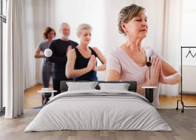 Group of senior people doing exercise in community center club. Wall mural