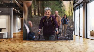 Group of seniors hikers outdoors in forest in nature, walking. Wall mural