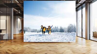 Group of young friends on a walk outdoors in snow in winter forest, running. Wall mural