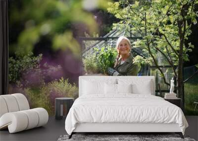 Happy senior gardener woman holding watering can in greenhouse at garden. Wall mural