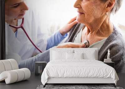 health visitor and a senior woman during home visit. Wall mural