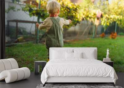 Little boy standying and looking at hen in their garden. Wall mural