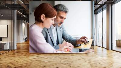 Man and woman having business meeting in a cafe, using laptop. Wall mural