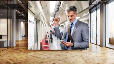 Mature businessman with smartphone in a metro train. Wall mural