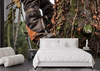 Midsection of legs of arborist man with harness cutting a tree, climbing. Wall mural