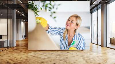 Portrait of senior woman cleaning shelves indoors at home. Wall mural