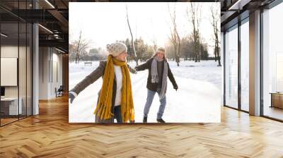 Senior couple in sunny winter nature ice skating. Wall mural