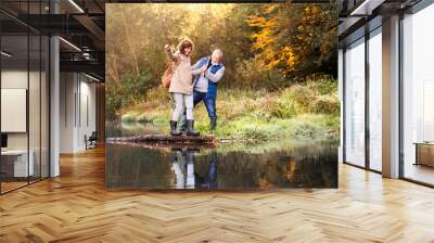 Senior couple on a walk in autumn nature. Wall mural