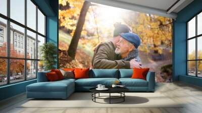 Senior father and his son on walk in nature, hugging. Wall mural