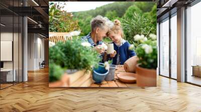 Senior grandmother with small granddaughter gardening on balcony in summer, resting. Wall mural