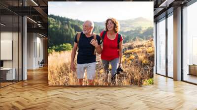 Senior tourist couple travellers hiking in nature, walking and talking. Wall mural