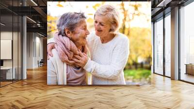 Senior women on a walk in autumn nature. Wall mural