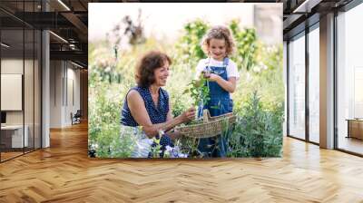 Small girl with senior grandmother gardening in the backyard garden. Wall mural