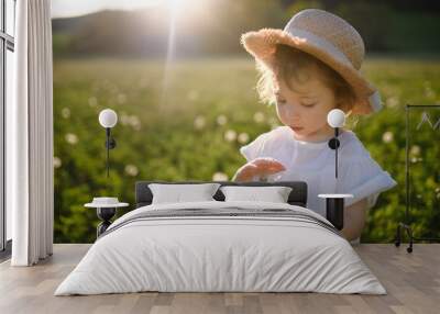 Small toddler girl standing on meadow outdoors in summer. Copy space. Wall mural