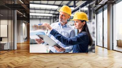 Two project managers standing in modern industrial factory. Manufacturing facility with robotics, robotic arms and automation. Storing products and materials in warehouse. Wall mural