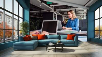 Young businesswoman with laptop sitting in an office, working. Wall mural