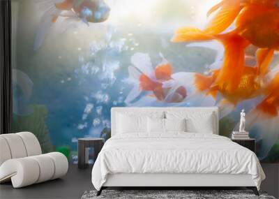 aquarium with fishes Wall mural