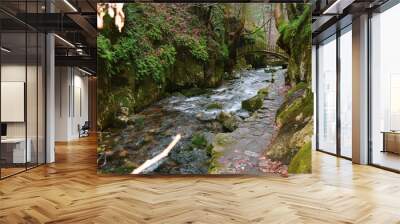 Ayazma National Park in Ida Mountains and streams flowing under the bridge Wall mural