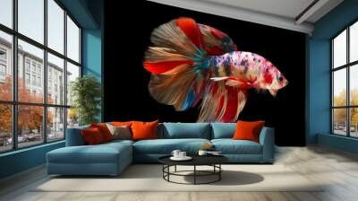 The moving moment beautiful of betta fish on black background Wall mural