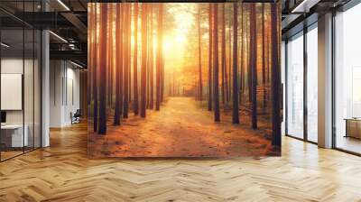 Autumn forest nature. Sunrays of the sun shine through branches of trees. Scenery of the forest with bright colors. Wall mural