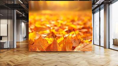 Beautiful fall leaves in sunlight with sunny bokeh. Banner. Beautiful nature background with forest ground. Golden autumn card concept. Wall mural