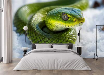 Snake slithering across snow, symbolizing New Year 2025 according to Chinese calendar. Bright snow contrasts with snake's vibrant color to create a festive and striking image. Wall mural