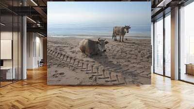 two cows by the sea Wall mural