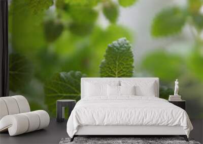 lemon balm Wall mural