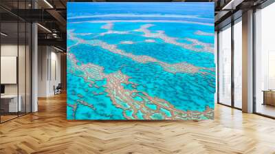 Australia's Great Barrier Reef (view from the air) Wall mural