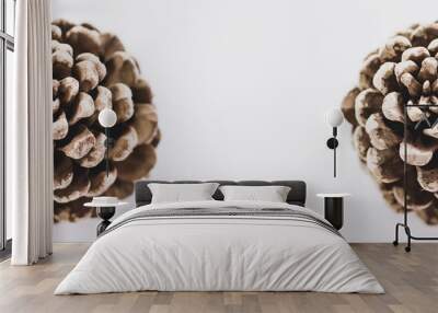 2 pine cone on the white background Wall mural