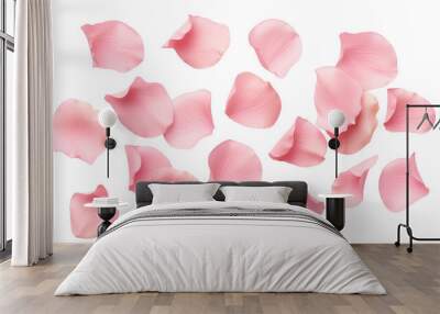 Set of pink rose petals transparent background. Wall mural