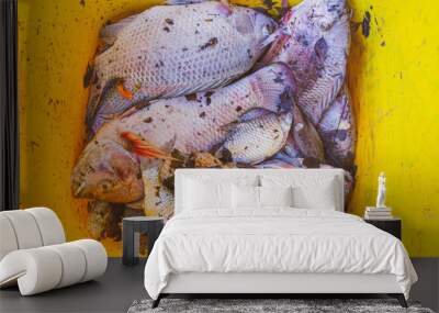 Dead fish, rotten in the water Conceptualizing pollutants in waste water, we collect dead fish in a dark tank. Wall mural