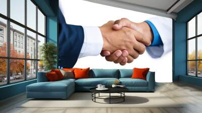 a close-up of two people shaking hands, one wearing business clothes and the other a medical coat, signifying confidence between a businessman and a doctor during a crucial meeting.  Wall mural