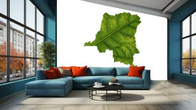 Congo map made of green leaves, concept ecology Map green leaf Wall mural