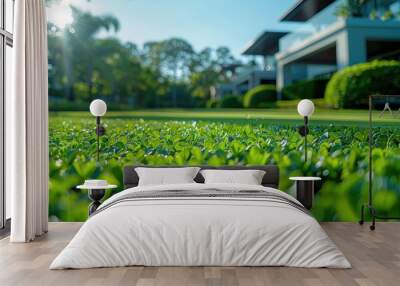 Close-up of Lush Green Foliage with a Blurred Background of a Modern House and Sunbeams Wall mural