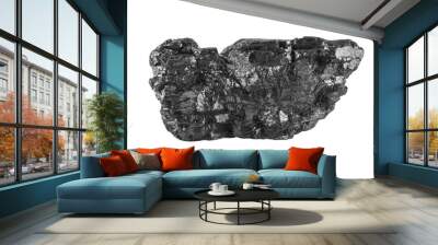 coal isolated on white background Wall mural