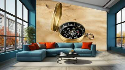 Compass Wall mural