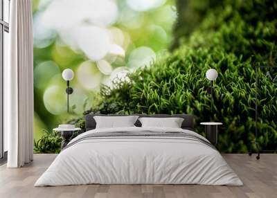 moss in the forest. close up photo. Wall mural