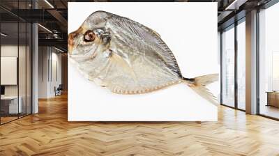 Salted moonfish isolated  on white background Wall mural