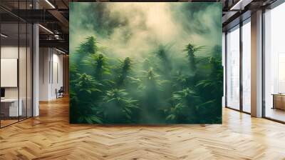 cannabis plant with dark smoke background Wall mural