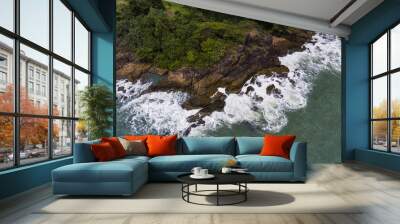 Aerial view of a rocky and green beach shore. Wall mural