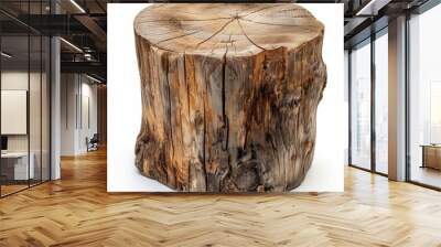 A rough, round tree stump with a flat top, isolated on a white background. Wall mural